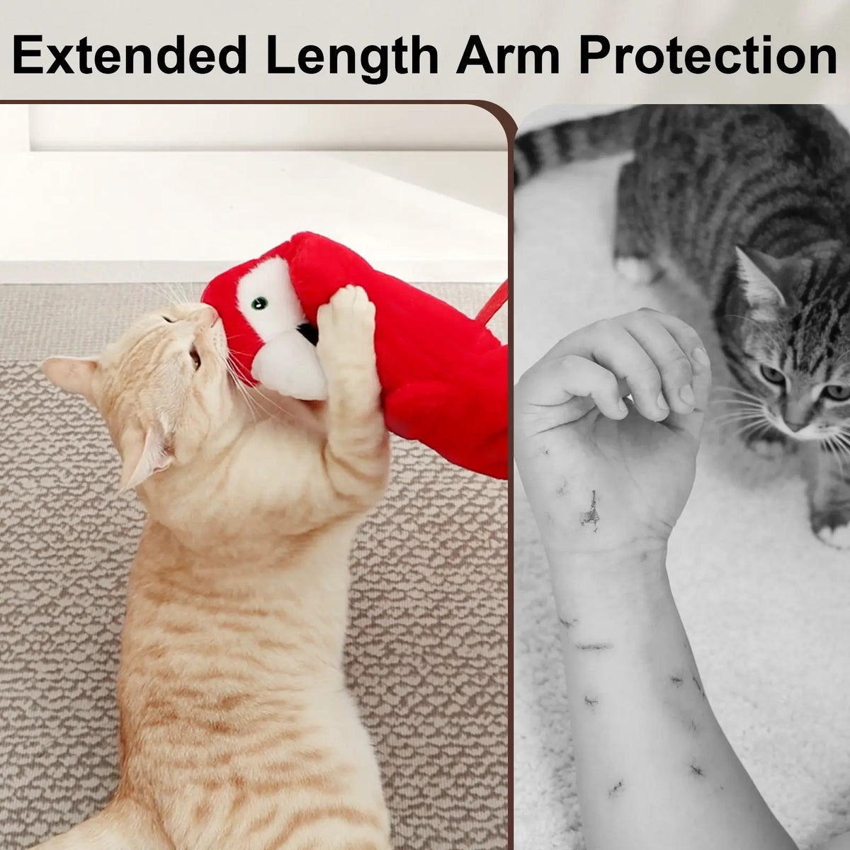 Catails Shark Cat Wrestling Glove - Interactive Puppet with Protective Sleeve, Hidden Pocket for Indoor Cats, Satisfies Hunting Instincts & Relieves Boredom Bird Toy