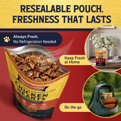 Nibble & Nourish Freeze-Dried Chicken Hearts Dog & Cat Treats – Single Ingredient Raw Pet Treats, Made in USA, High-Value Organ Meat for Training, Meal Toppers & Everyday Rewards, No Fillers or Preservatives