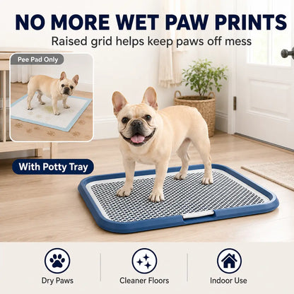 Professional Dog Grooming & Cleaning Kit - Plastic Comb, Brush, Shampoo Mitt, 65X50Cm (25.6X19.7In) Fully Leakproof Base, Potty Training Supply for Dogs/Puppies, Keeps Paws & Belly Fur Away from Urine, Odor Control, Puppy, Drainage