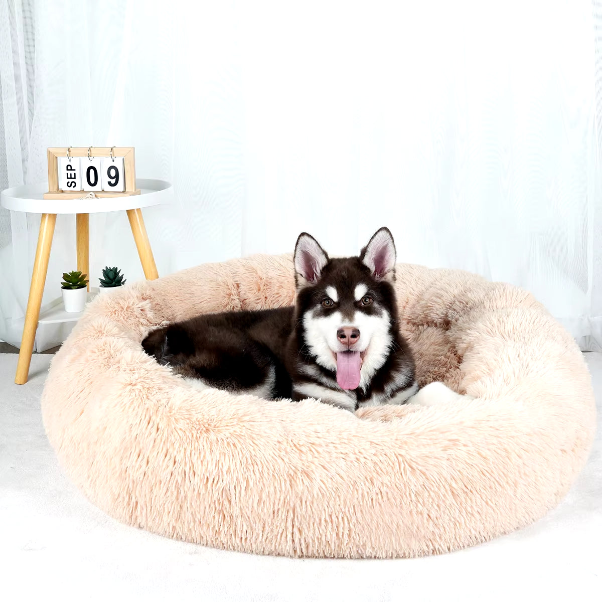 Plush Dog Bed Large Beds for Dogs Washable Medium Small Basket Accessorys Pet Furniture Fluffy Sofa Puppy Kennel Accessories Mat