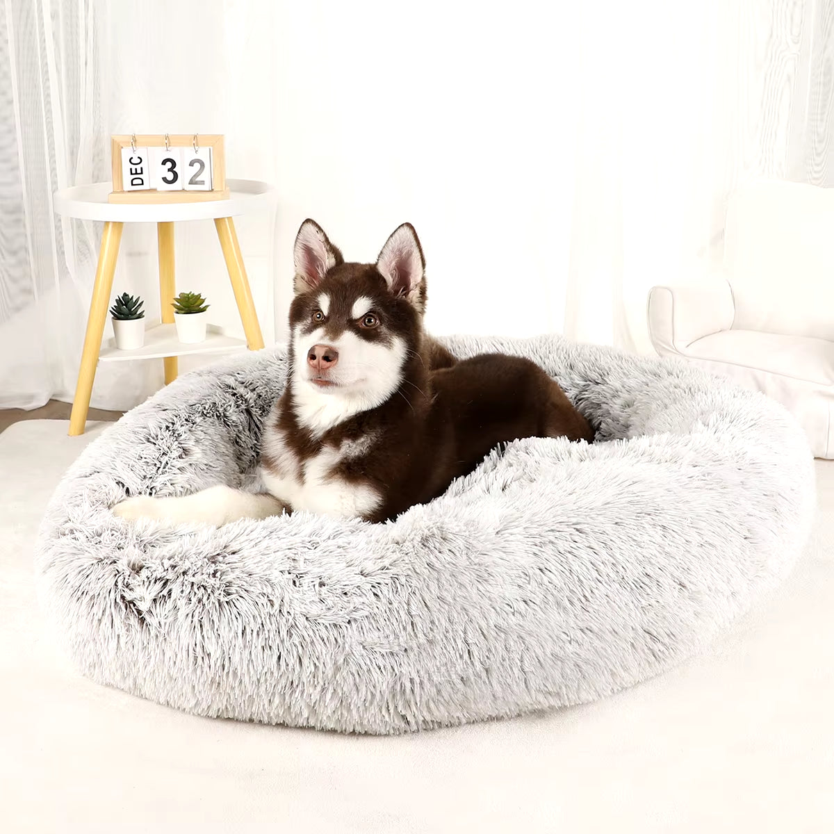 Plush Dog Bed Large Beds for Dogs Washable Medium Small Basket Accessorys Pet Furniture Fluffy Sofa Puppy Kennel Accessories Mat
