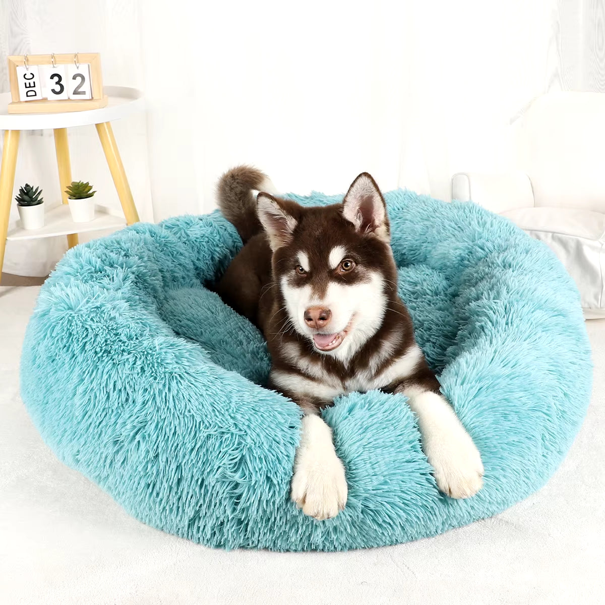 Plush Dog Bed Large Beds for Dogs Washable Medium Small Basket Accessorys Pet Furniture Fluffy Sofa Puppy Kennel Accessories Mat