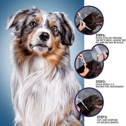 Dog anti Flea and Tick Collars,Pet 8Month Protection Adjustable Collar for Large Dog Puppy Cat, Dogs Accessories