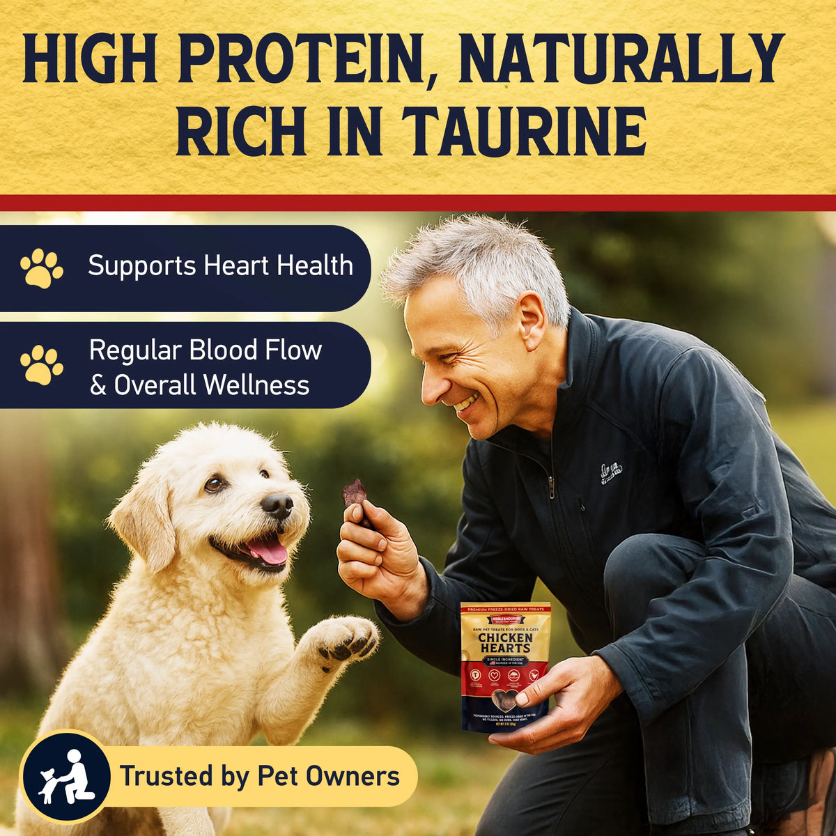 Nibble & Nourish Freeze-Dried Chicken Hearts Dog & Cat Treats – Single Ingredient Raw Pet Treats, Made in USA, High-Value Organ Meat for Training, Meal Toppers & Everyday Rewards, No Fillers or Preservatives